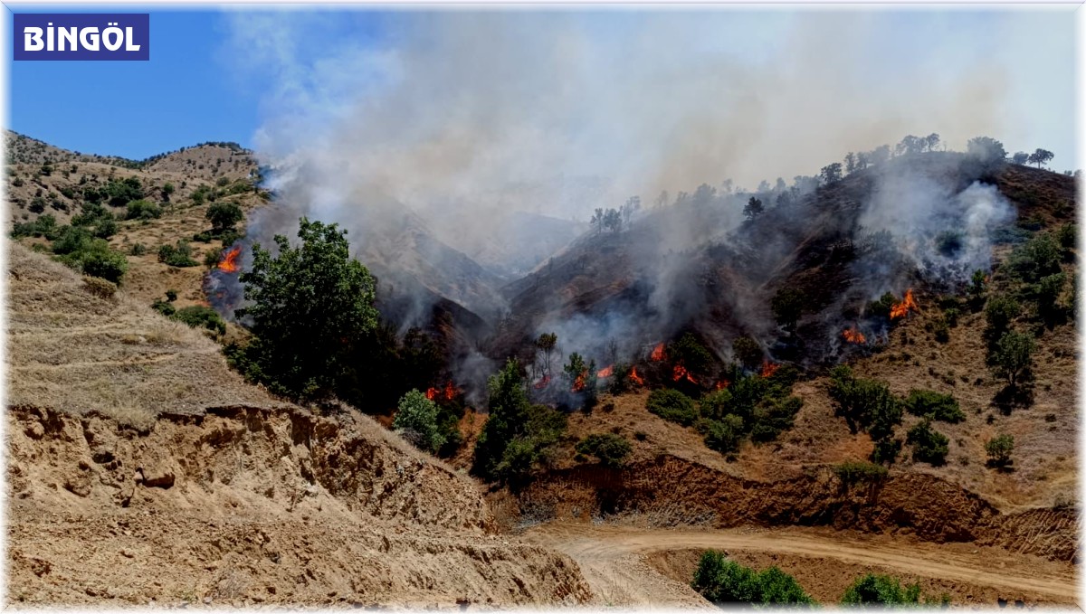 Bingöl'de iki ayrı ilçedeki orman yangınları söndürüldü