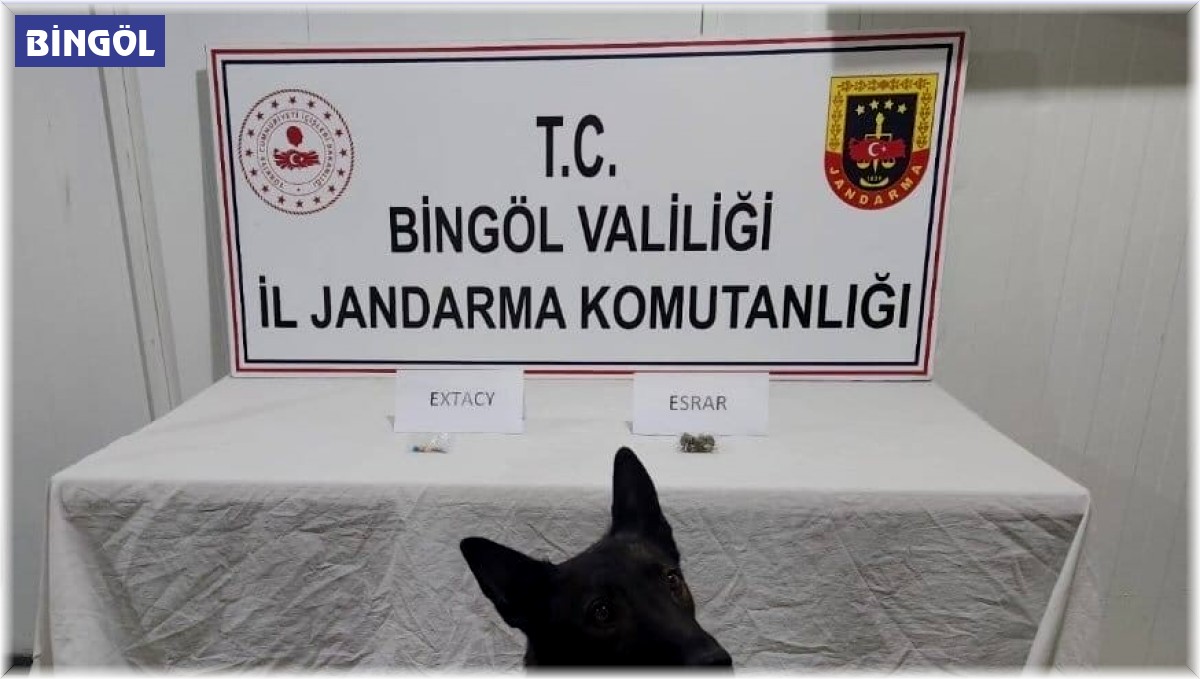 Bingöl'de jandarma ekipler suçlulara göz açtırmıyor