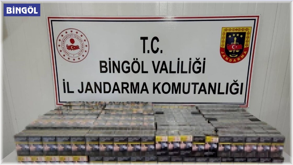 Bingöl'de kaçak kazı yapan 2 kişi yakalandı