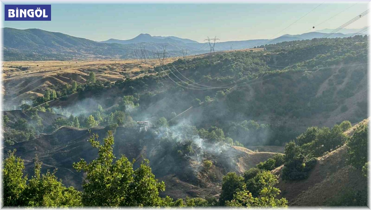 Bingöl'de orman yangını büyümeden söndürüldü