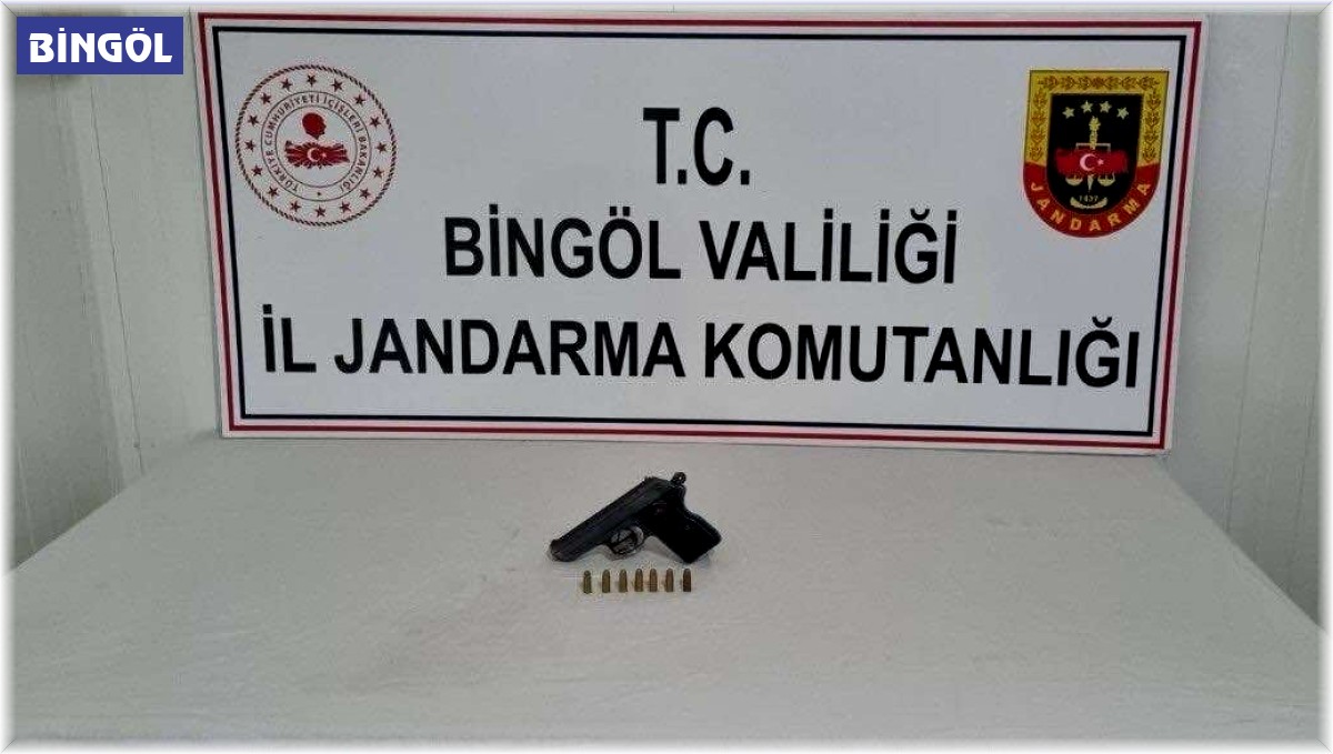 Bingöl'de yol kontrolünde durdurulan araçlarda 2 ruhsatsız silah ele geçirildi