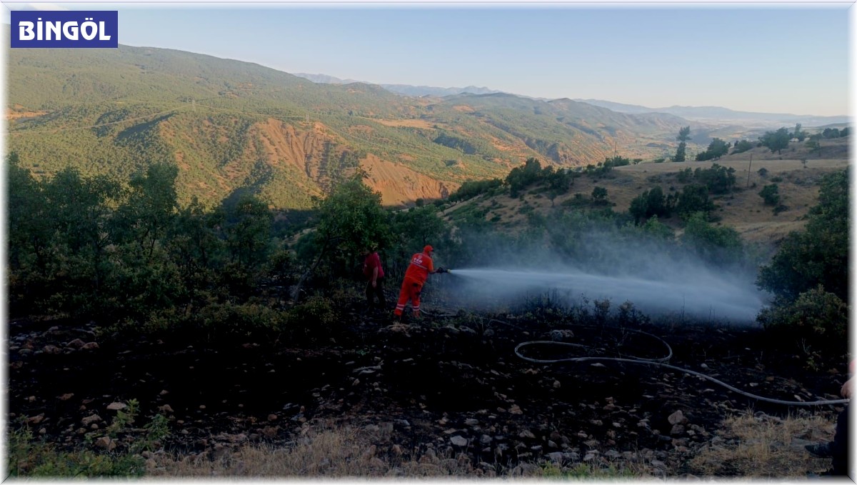 Bingöl'deki orman yangını büyümeden söndürüldü