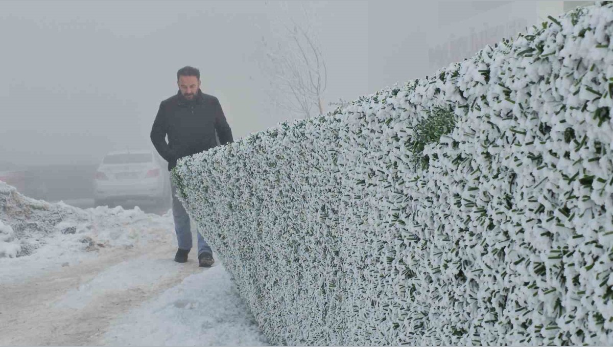 Bitlis'te dondurucu soğuk etkili oluyor: Ağaçlar kırağıyla kaplandı