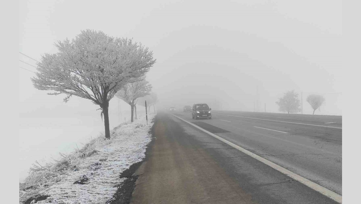 Bitlis'te sis etkili oldu