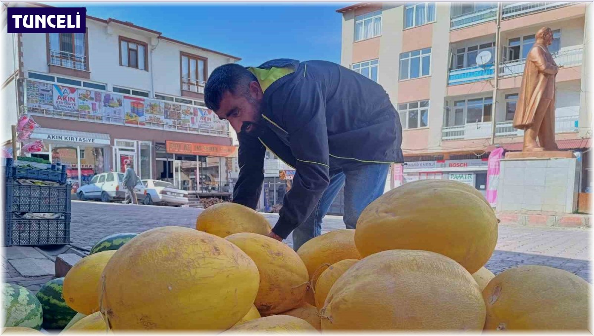 Çemişgezek'in her mevsime dirençli kış kavunu tezgahlardaki yerini aldı