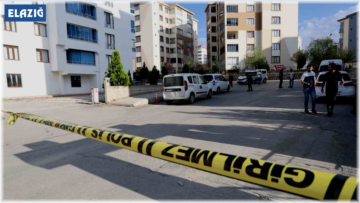 Elazığ'da 3 kişinin yaralandığı silahlı kavgayla ilgili bir şüpheli tutuklandı