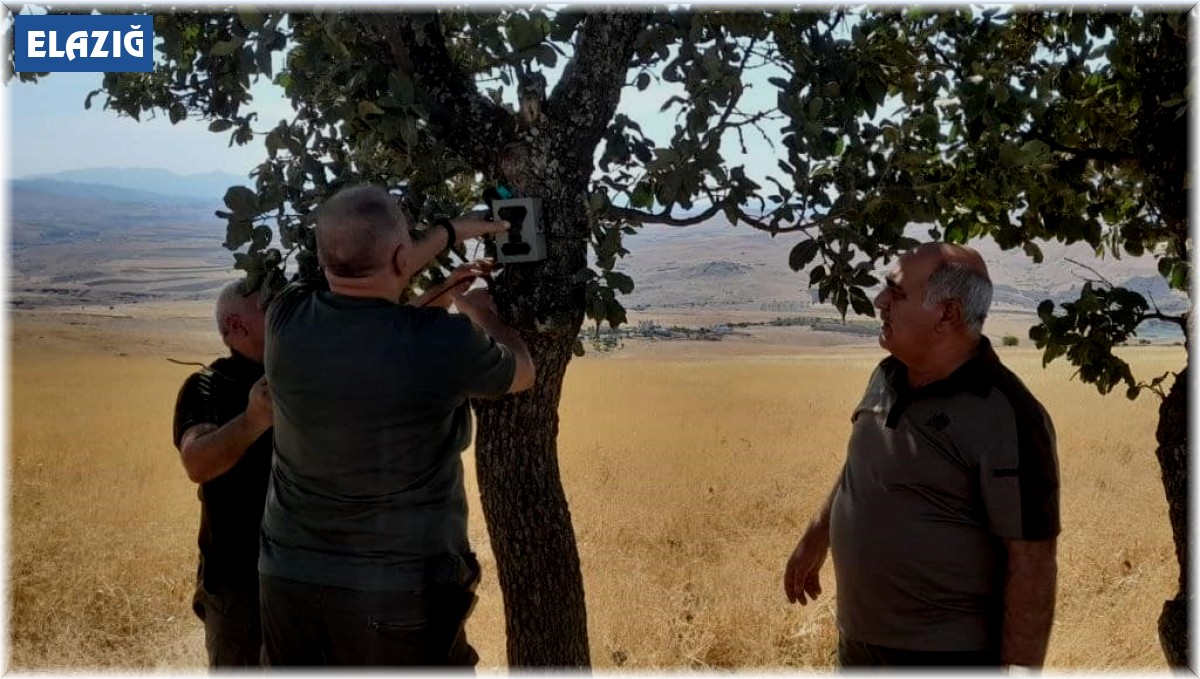 Elazığ'da fotokapanların bakımı yapıldı