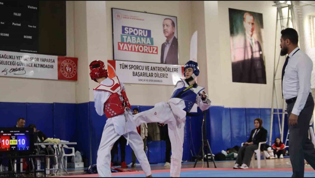 Elazığ'da gençler taekwondo müsabakaları yapıldı