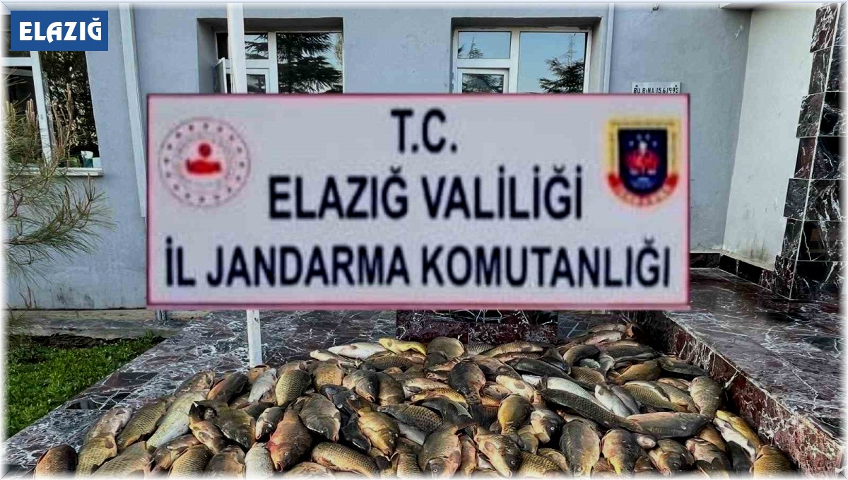 Elazığ'da kaçak balık avı yapan 3 şahsa, 49 bin lira ceza