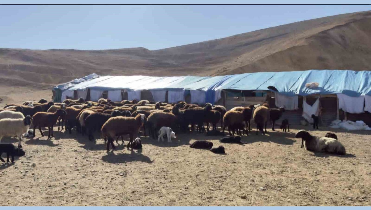 Elazığ'da karantina uygulanan 3 ilçede ekiplerin çalışmaları sürüyor