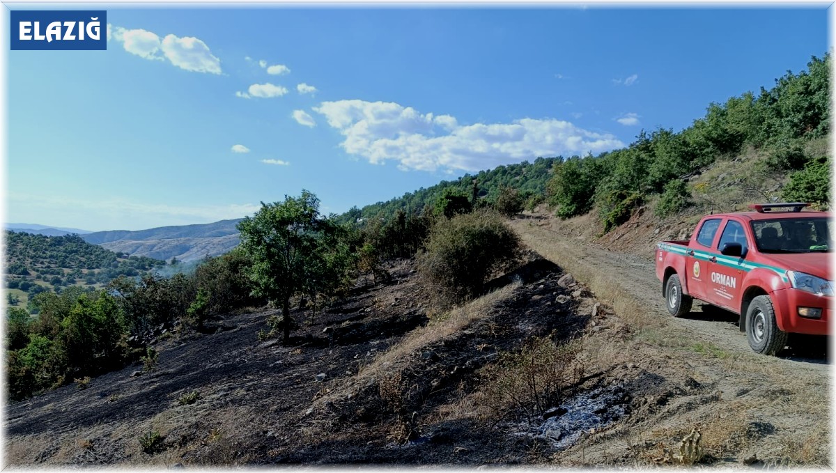 Elazığ'da korkutan yangın