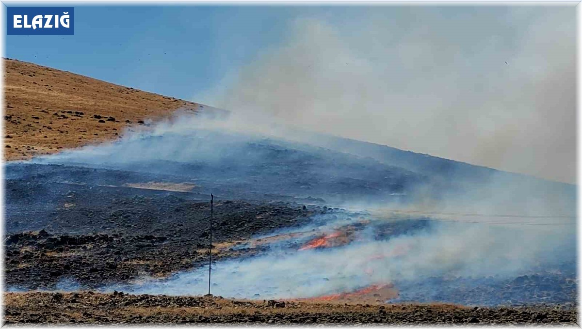 Elazığ'da korkutan yangın