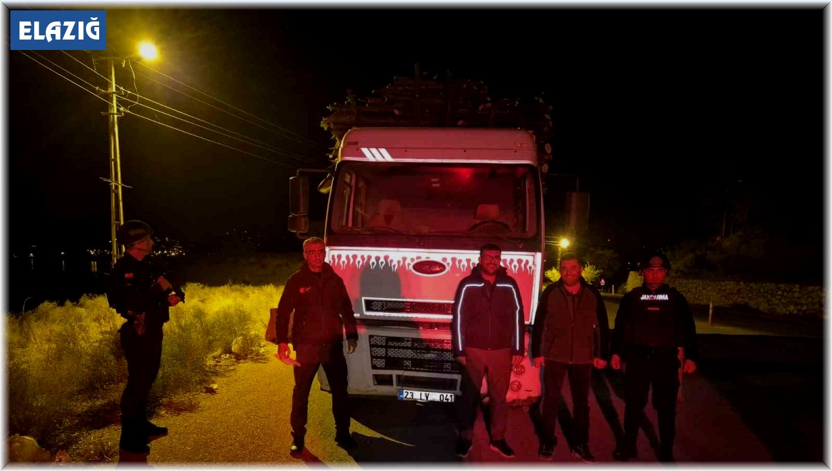 Elazığ'da orman suçlarıyla mücadelede sıkı denetim