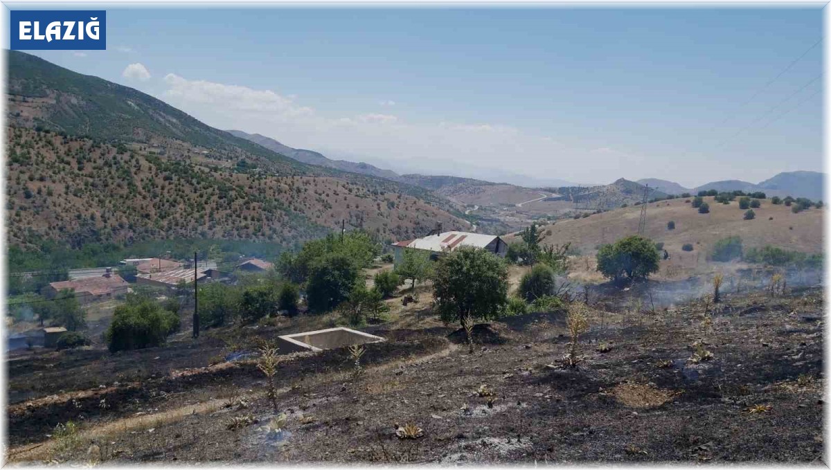 Elazığ'da ot yangını