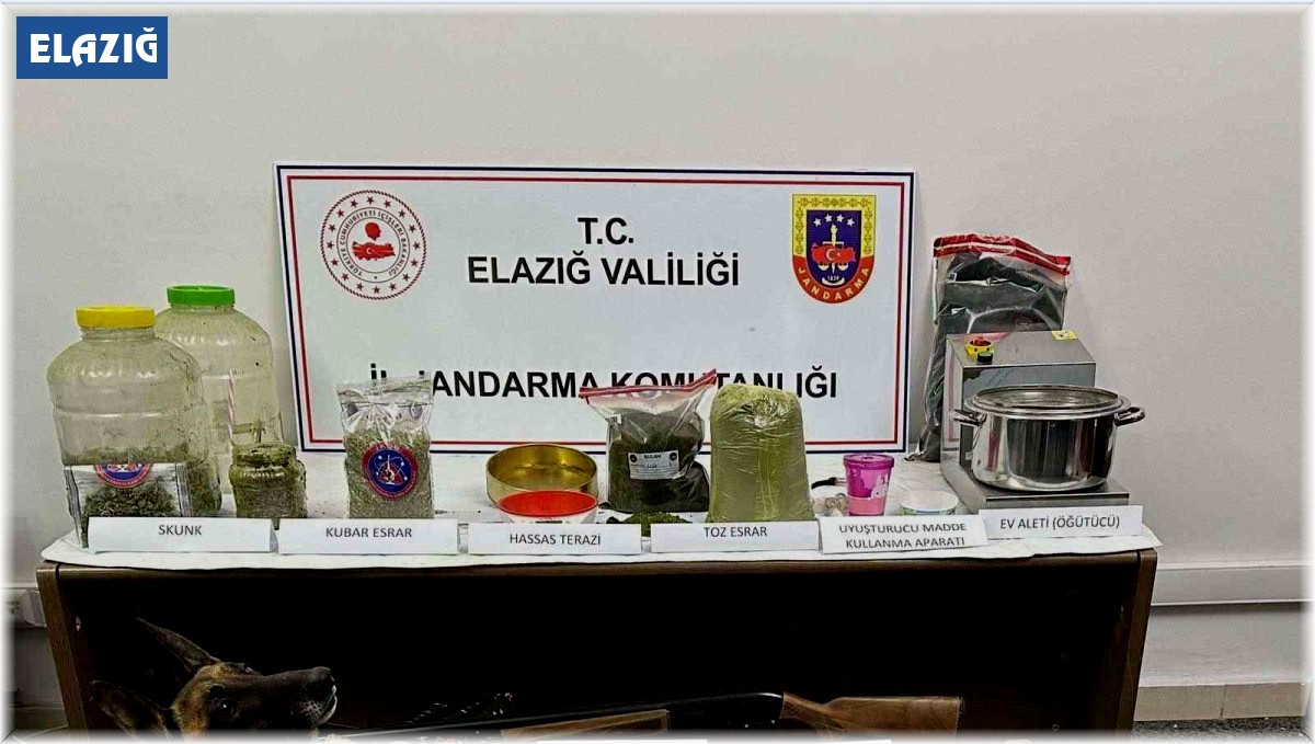 Elazığ'da uyuşturucu tacirlerine operasyon: 1 tutuklama