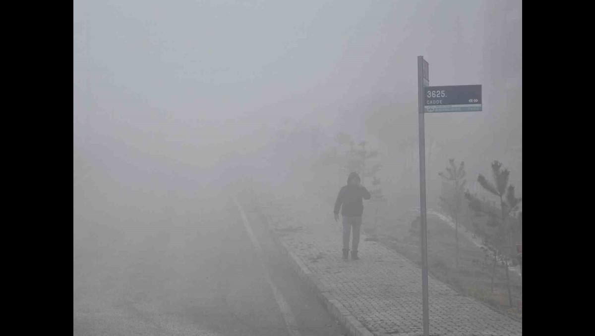 Elazığ'da yoğun sis etkili oldu, bir mahalle adeta kayboldu