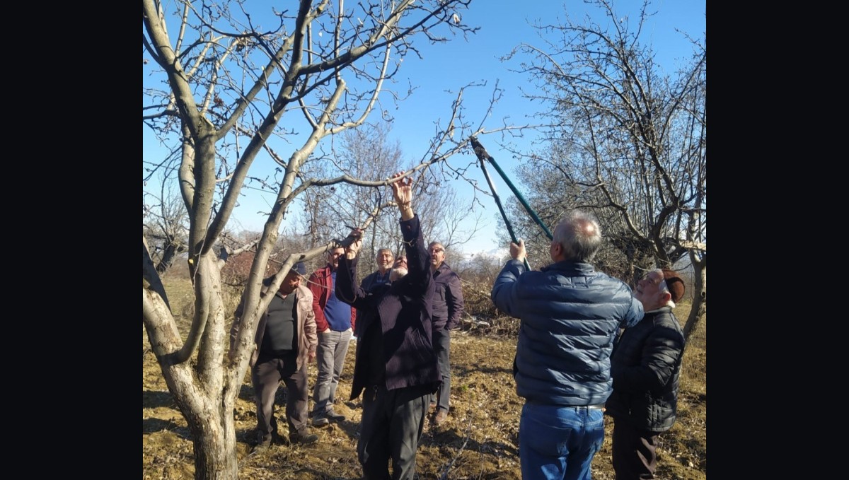 Erzincan çiftçisine 'budama' uyarısı