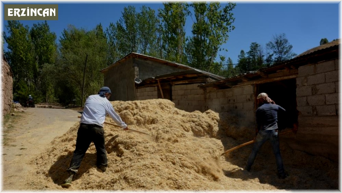 Erzincan'da çiftçiler kış için son hazırlıklarını tamamlıyor