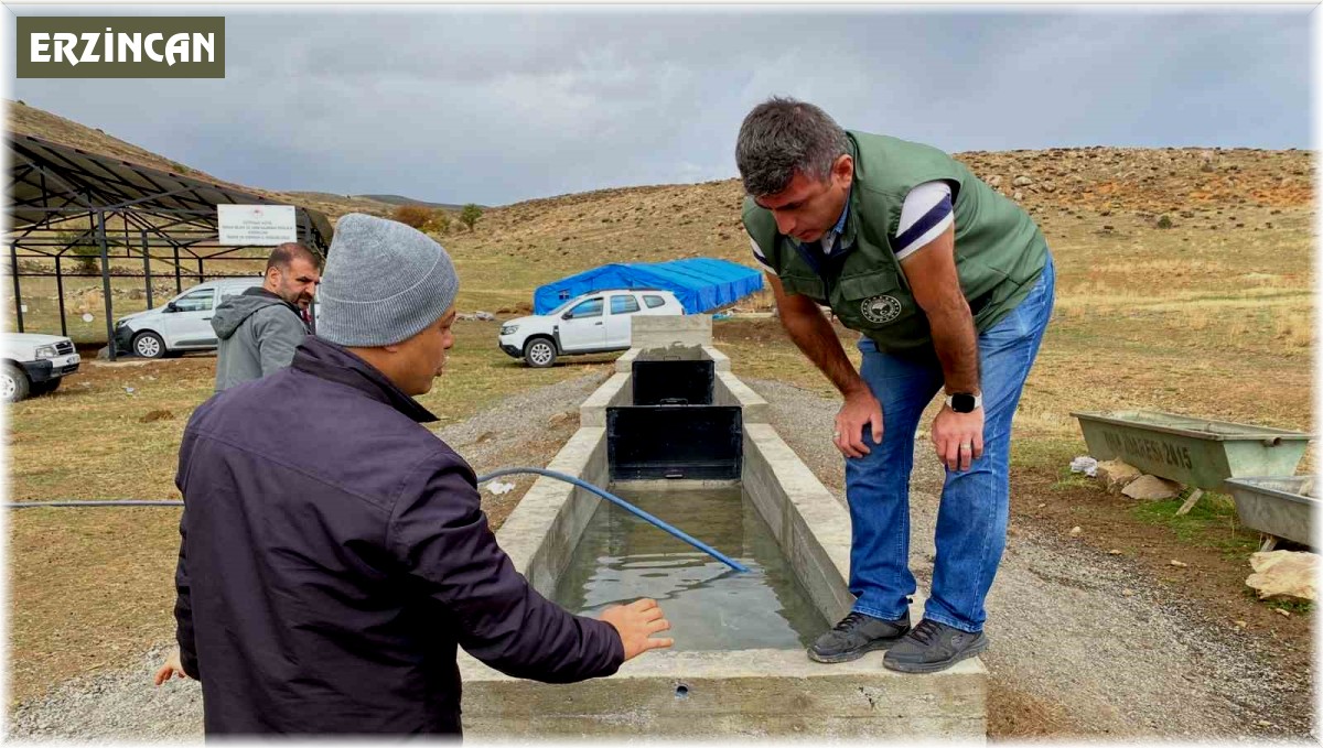 Erzincan'da ıslah çalışmaları devam ediyor