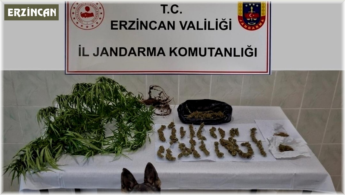 Erzincan'da jandarma ekipleri suça geçit vermiyor