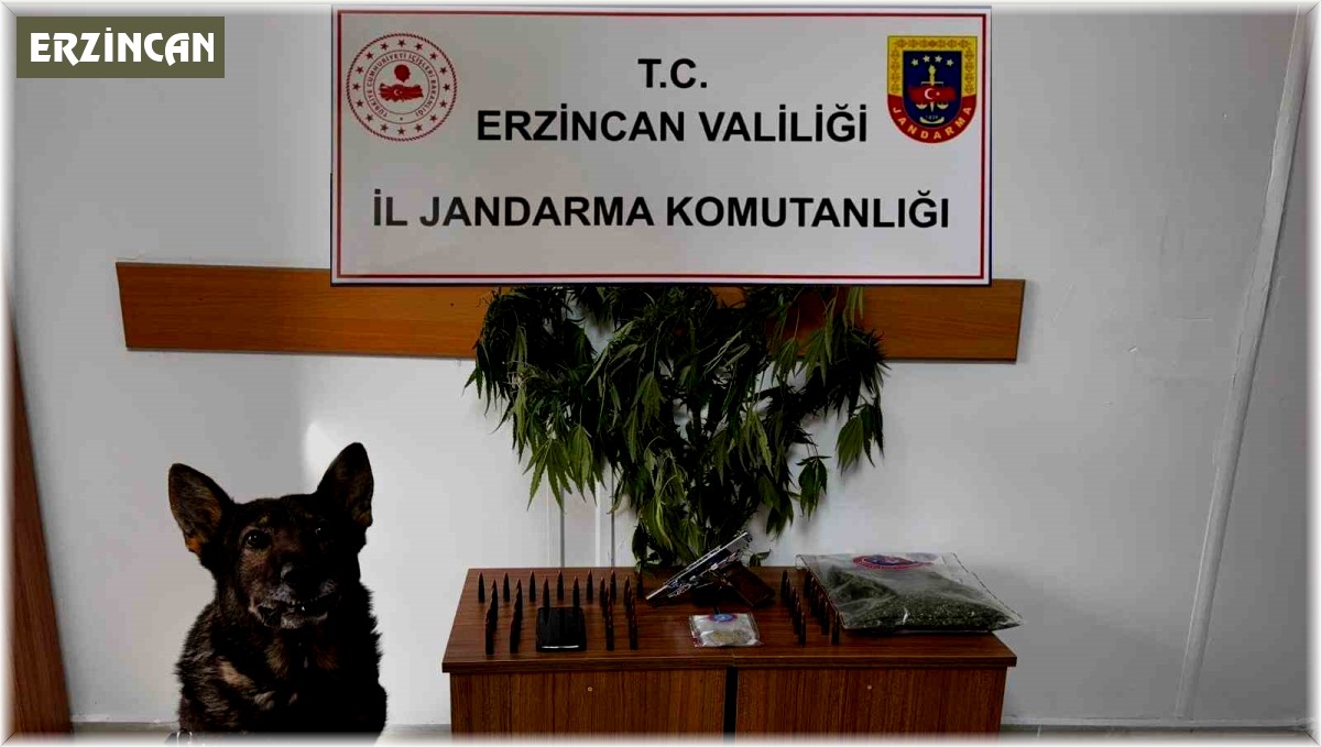 Erzincan'da jandarma suç olaylarına geçit vermiyor