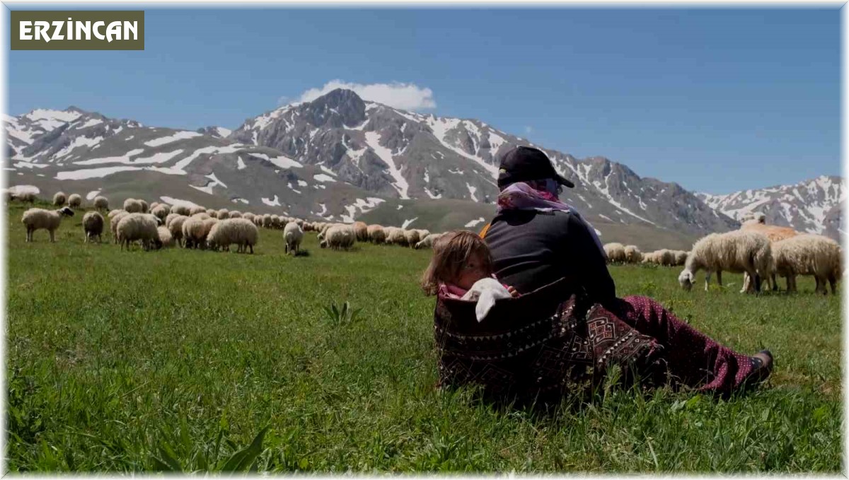 Erzincan'da meralar küçükbaş hayvanlarla şenlendi