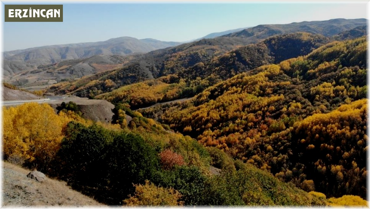 Erzincan'da sonbaharda renk cümbüşü