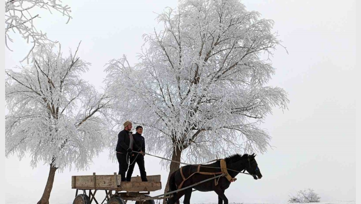 Erzincan'ın Otlukbeli ilçesi buz tuttu!