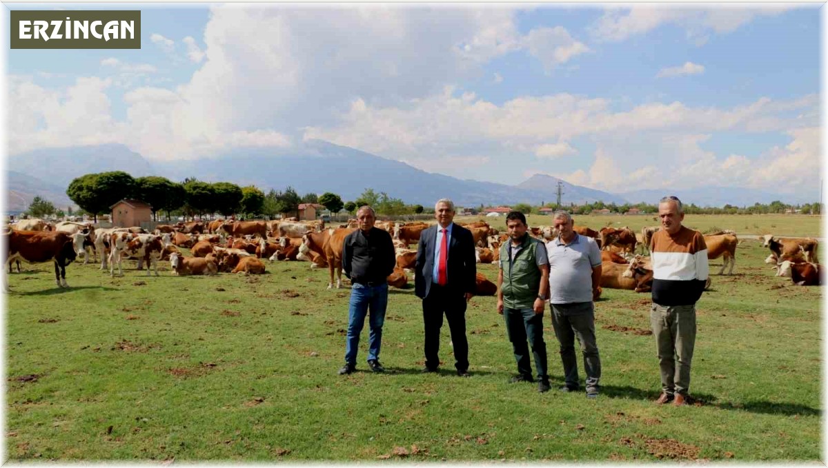 Erzincan Mera Islah Projeleri incelendi