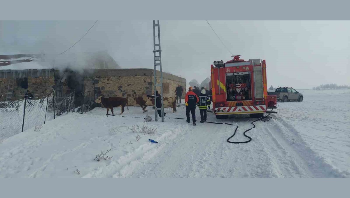 Erzurum'da ahır yangını