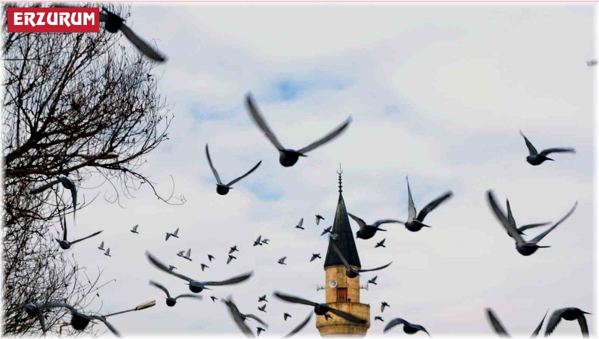 Erzurum'da bin 601 cami bulunuyor