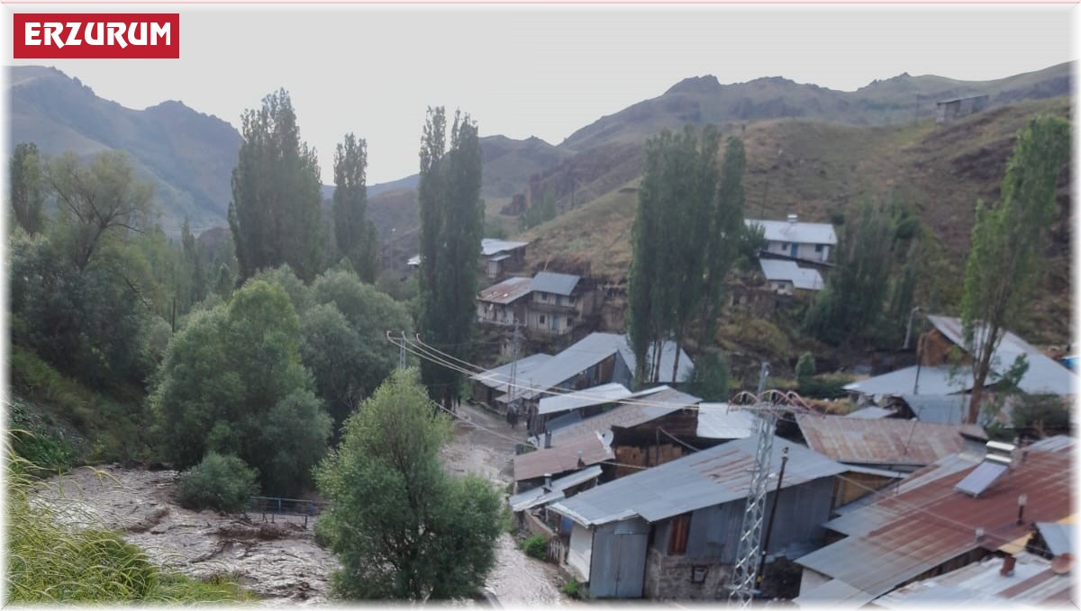 Erzurum'da dereler taştı