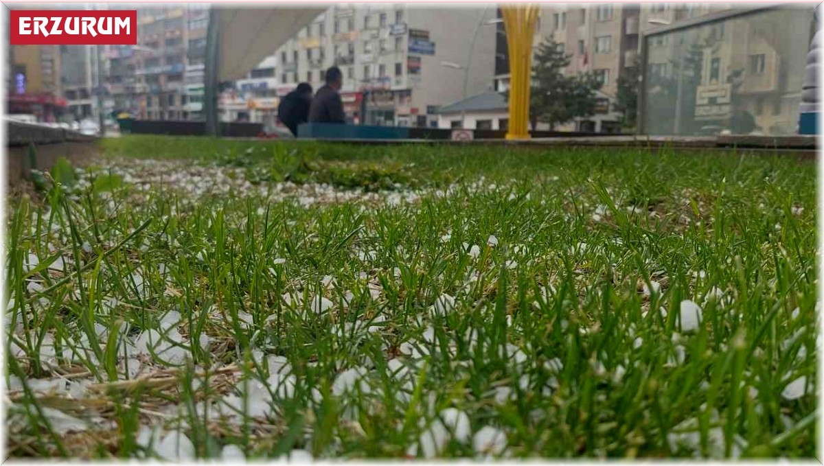 Erzurum'da dolu etkili oldu