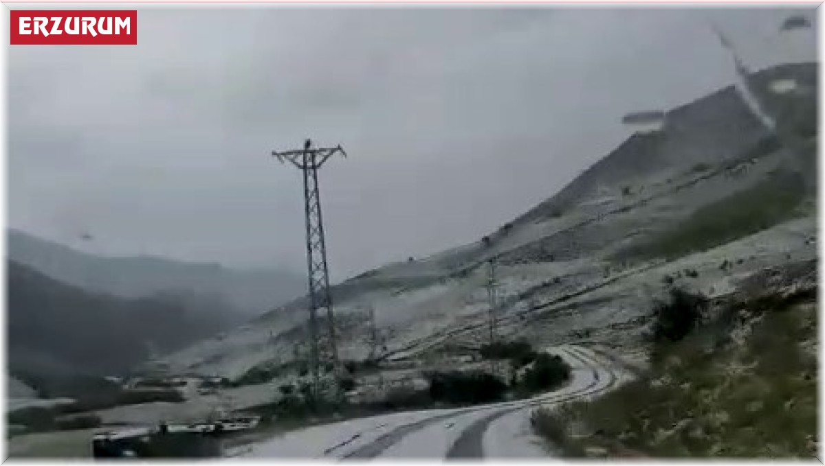 Erzurum'da dolu köyleri beyaza bürüdü