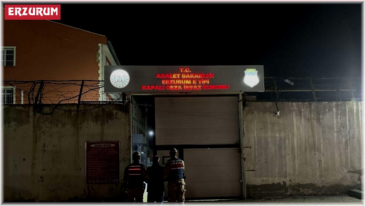 Erzurum'da jandarmadan kaçak şahıslara operasyon