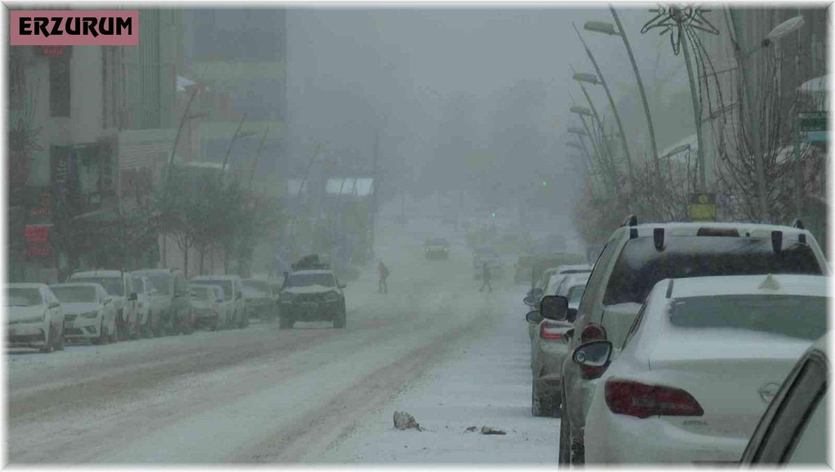 Erzurum'da kar ve tipi etkili oluyor