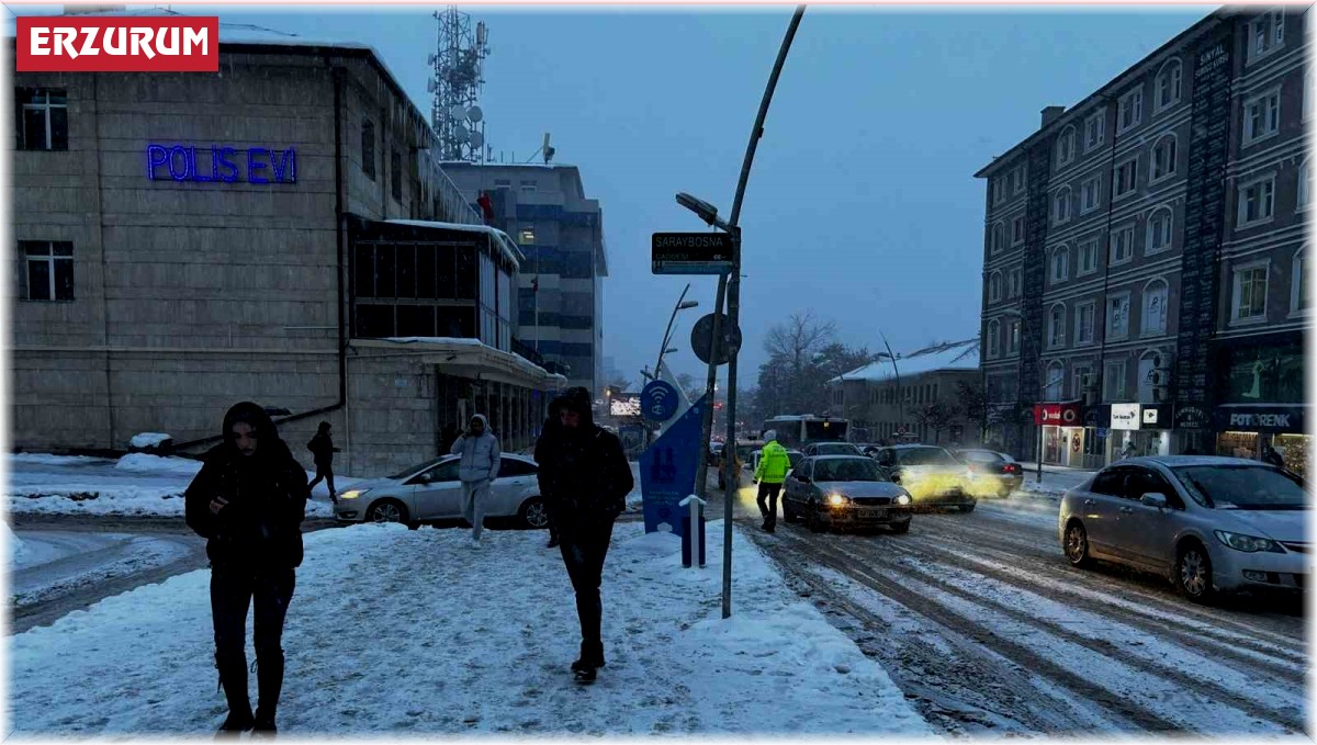 Erzurum'da kar yağışı etkili oldu