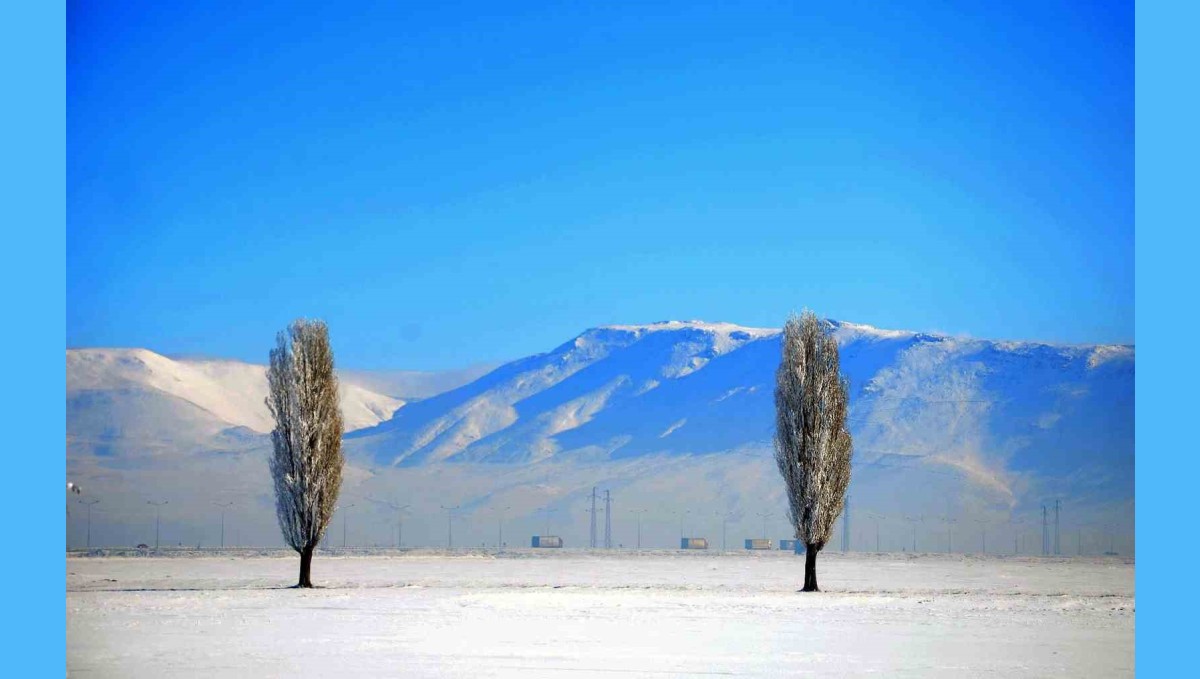 Erzurum'da zemheri soğuklar