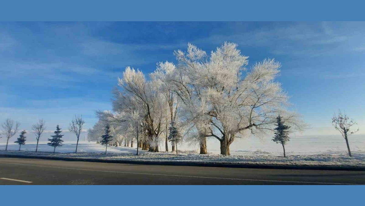 Erzurum Ovası eksi 24 ile buz kesti