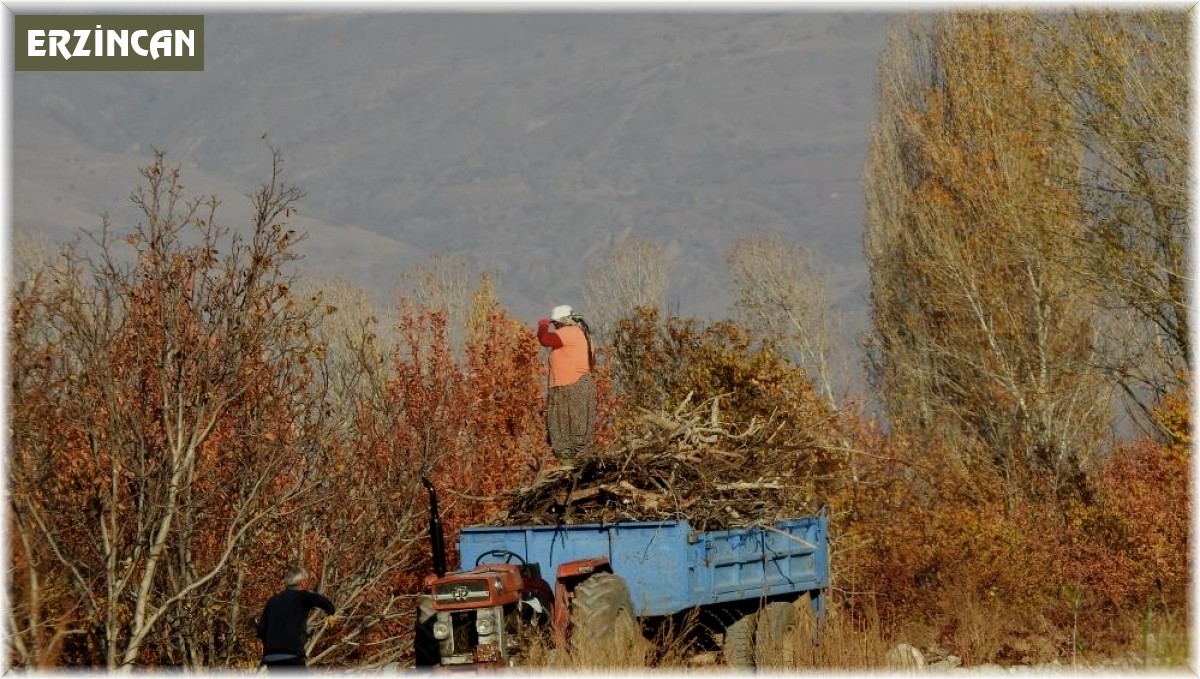 Geceleri soğuk havanın hâkim olduğu Erzincan'da kışa hazırlık hız kazandı