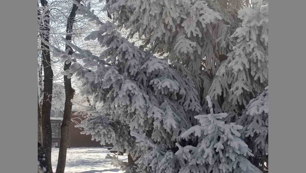 Göle'de hava eksi 27,7 derece: Araçlar soğuktan çalışmadı