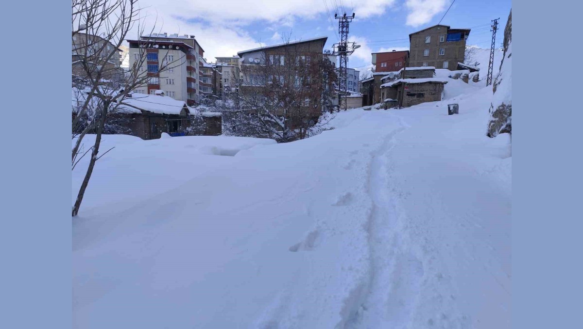 Hakkari'de 18 köy ve 64 mezra yolu ulaşıma kapandı