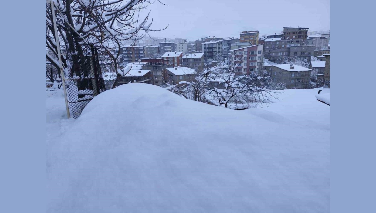 Hakkari'de 190 yerleşim yolu kapandı