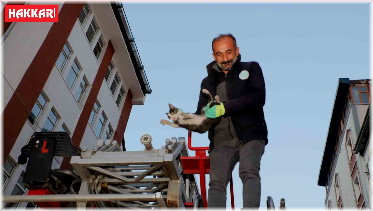 Hakkari'de 4 katlı binada mahsur kalan yavru kedi kurtarıldı