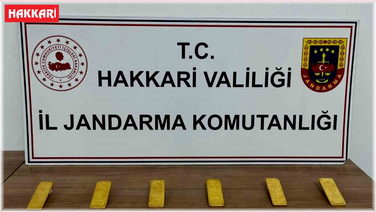 Hakkari'de 6 kilo külçe altın ele geçirildi