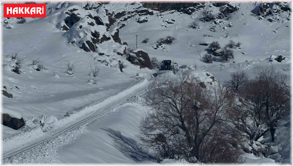 Hakkari'de 7 yerleşim yeri yolunun açılması için çalışmalar sürüyor