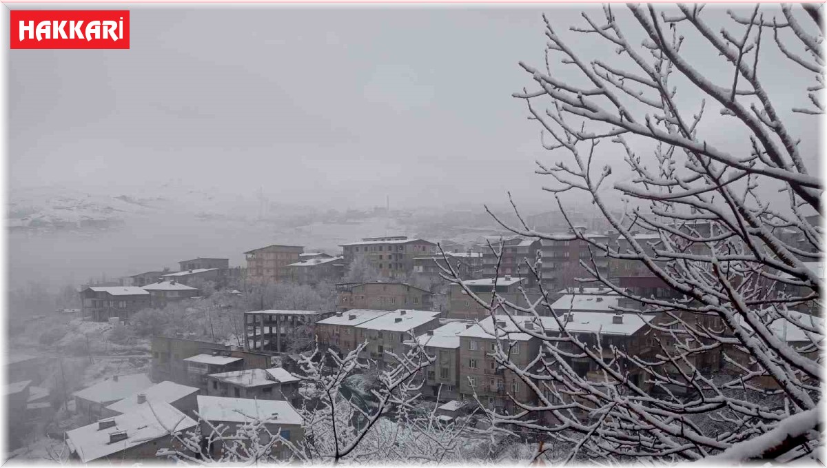 Hakkari'de kar yağışı ve sis