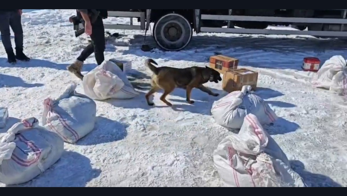 Hakkari'de kargo ile gönderilmek istenilen 102 kilo metamfetamin ele geçirildi