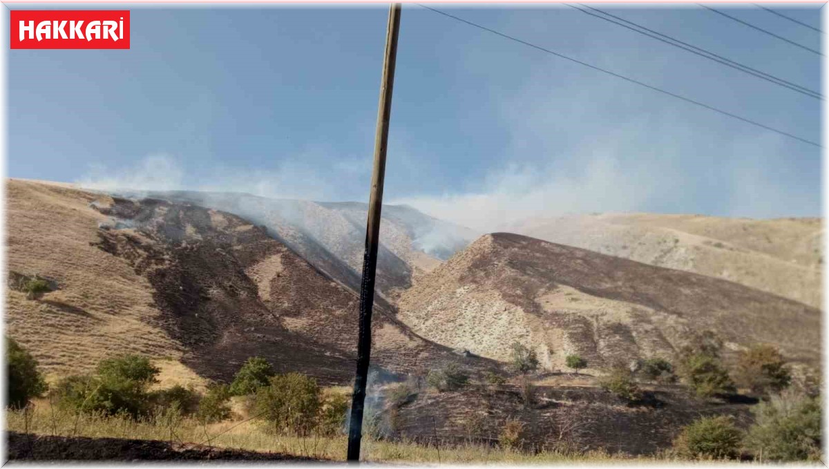 Hakkari'de makilik alanda yangın