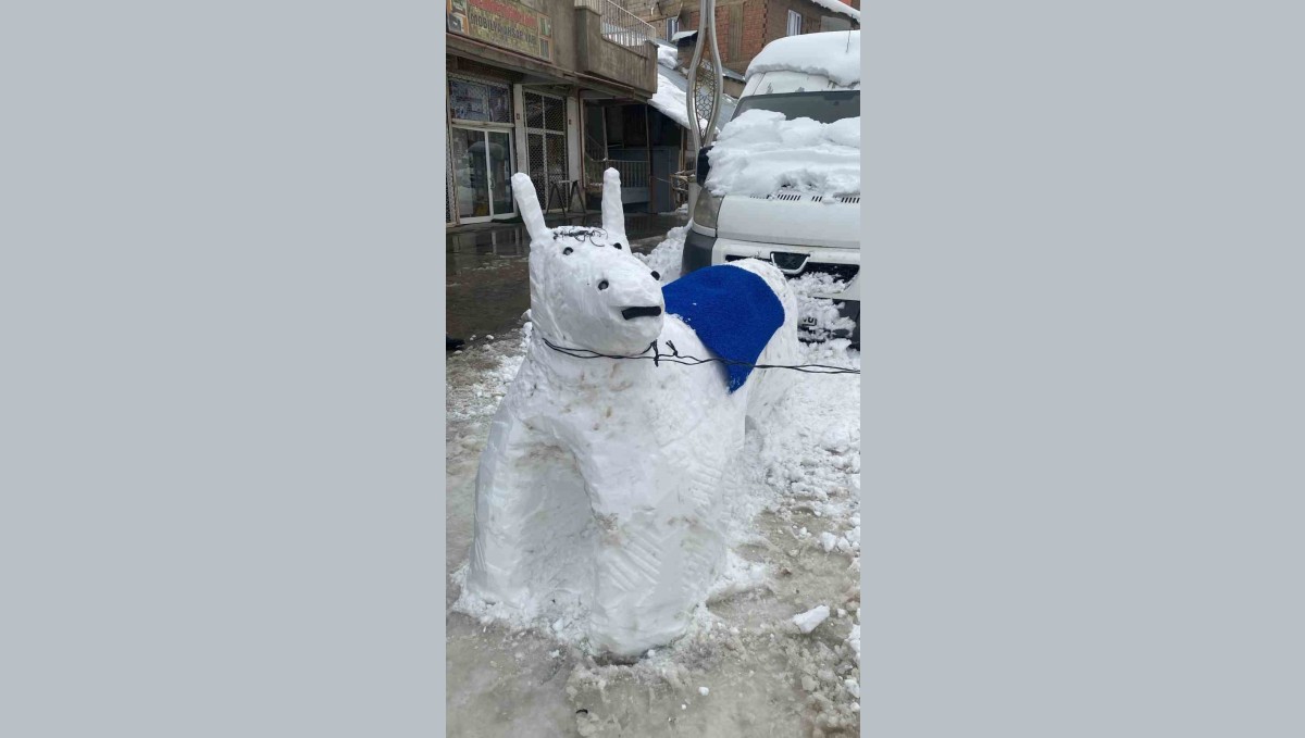 Hakkari esnafı kardan eşek yaptı